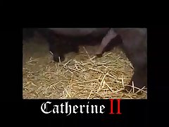 Is Watching Animal Porn Illegal In India