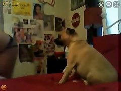 Zoofilia Amateur Videos