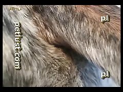 Porno Xxx Zoofilia