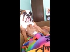 Videos Zoofilia Amateur