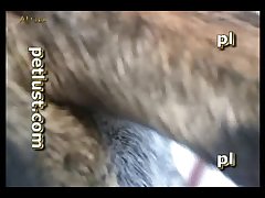 Porno Xxx Zoofilia