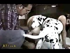 Porno Zoofilia Ia