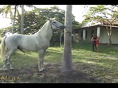 Zoofilia Con Elefantes