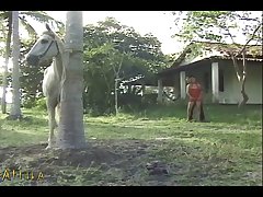 Zoofilia Con Elefantes