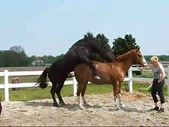 Zoofilia Free Videos