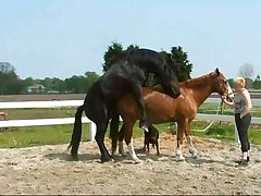 Zoofilia Free Videos