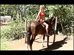 Xxx Zoofilia Anal