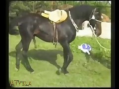 Audios De Zoofilia