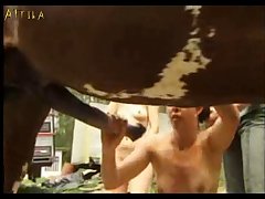 Porn Video Zoofilia