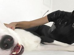 Guy And Dog Fuck Wife