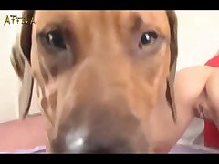 Transexuales Zoofilia