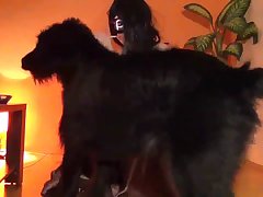 Comics De Zoofilia Porno