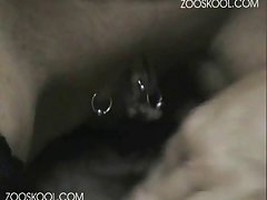 Porno Zoofilia Homem Com Cadela