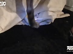 Jazpincita Perro Video Zoofilia