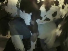 Relato Porn Zoofilia