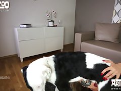 Xvideos De Zoofilia Gratis