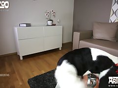 Xvideos De Zoofilia Gratis