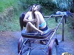 Filme Porno Cu Animale Zoofilia