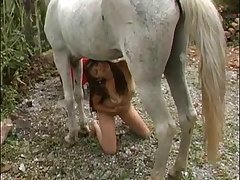 Zoofilia Con Animales Hd