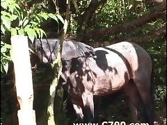 Zoofilia Porno Chicas