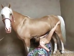 Zoofilia Mujer Y Perro