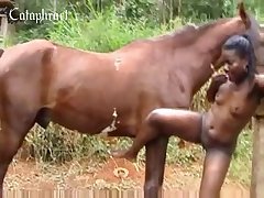 Zoofilia Or Videos