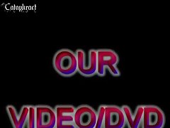 Gif Porn Zoofilia Pussy
