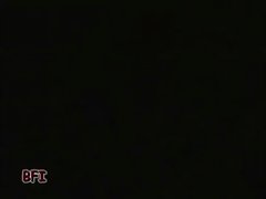 Adictos A La Zoofilia