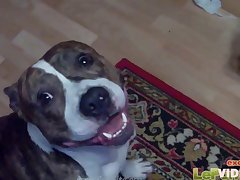 Chica Con Perro Zoofilia