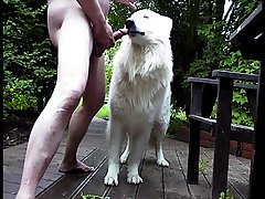 Porno Filmes Com Animal