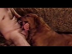 Filmes De Porno De Animal