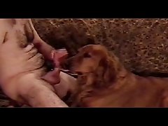 Filmes De Porno De Animal