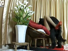 Animal Porno Quadrinhos