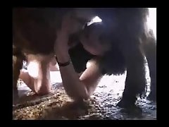Porno Mujer Y Animal