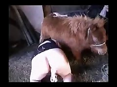 Porno Mujer Y Animal