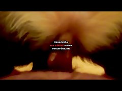 Porno Or Com Or Animal