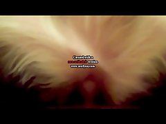 Porno Or Com Or Animal