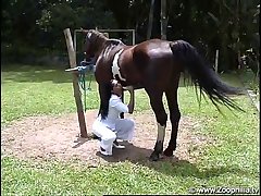 Gibi Porno Animal
