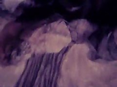 Sit Porno Animal