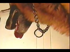 Videos Porno Mulher Com Animal