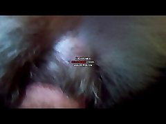 Porno Animal Cavalo E Egua