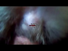 Porno Animal Cavalo E Egua