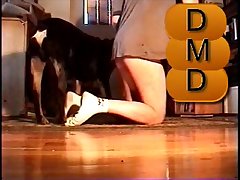 dog porn