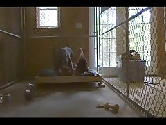 Filme Porno Gay Com Animal