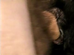 Filmes De Porno Animal