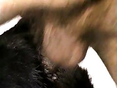 Filmes De Porno Animal