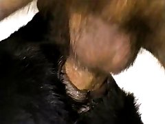 Filmes De Porno Animal