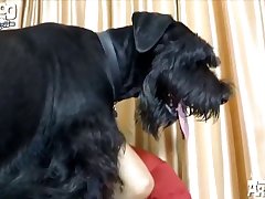 Fome Animal Porno