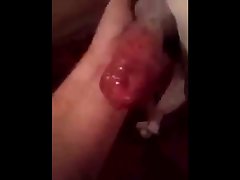 Video Porno Mulheres Transando Com Animal