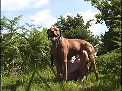 Free Porno Com Animal